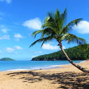https://gites-rose-des-vents.comcaribbean.com